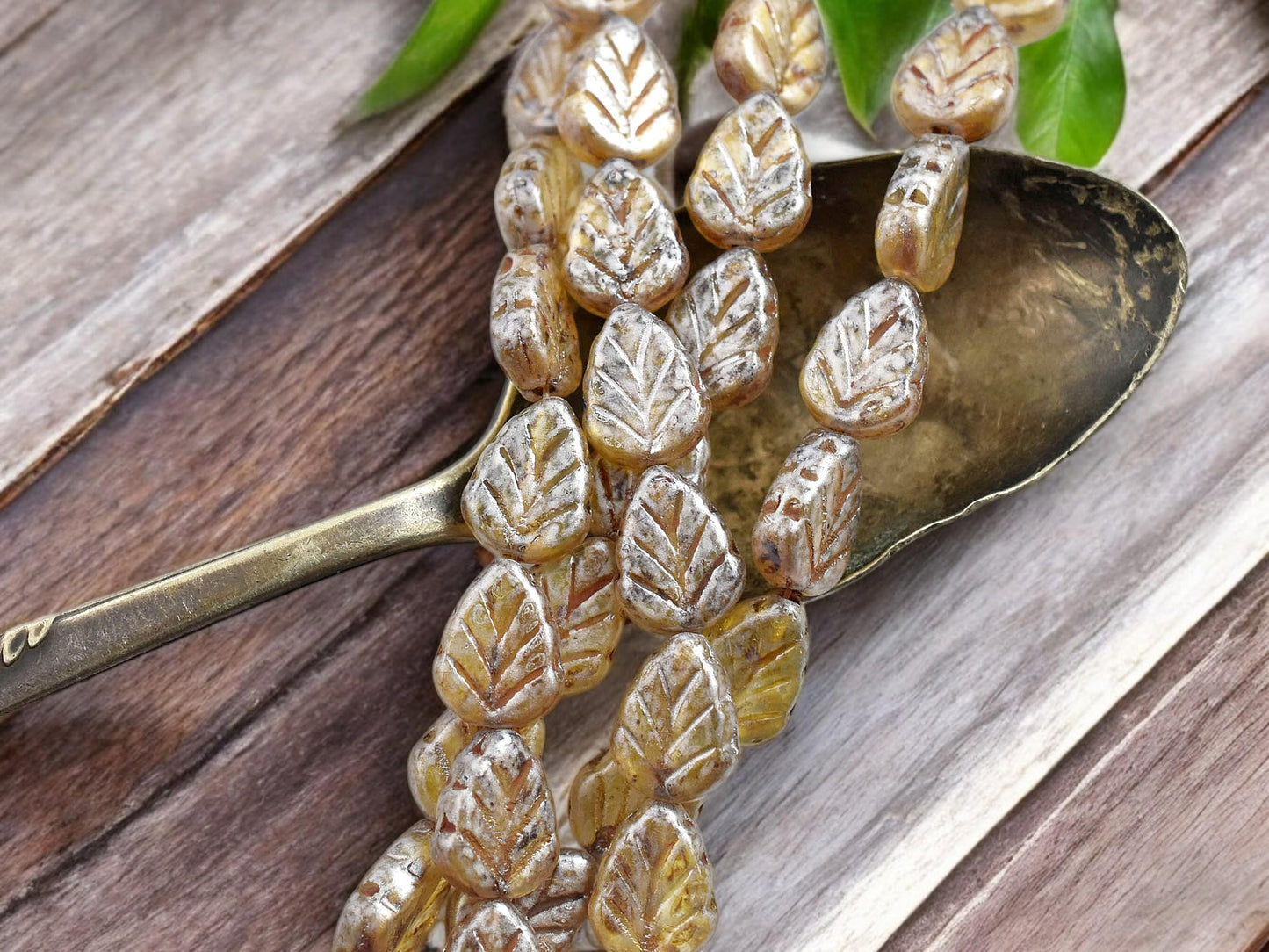 Czech Glass Beads - Leaf Beads - Picasso Beads - Fall Beads - Czech Leaves - 10x8mm - 16pcs - (3371)