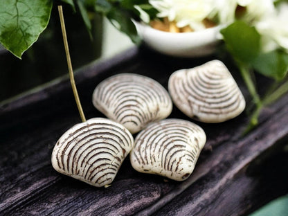 *8* 15x18mm Brown Washed Matte Alabaster Sea Shell Beads