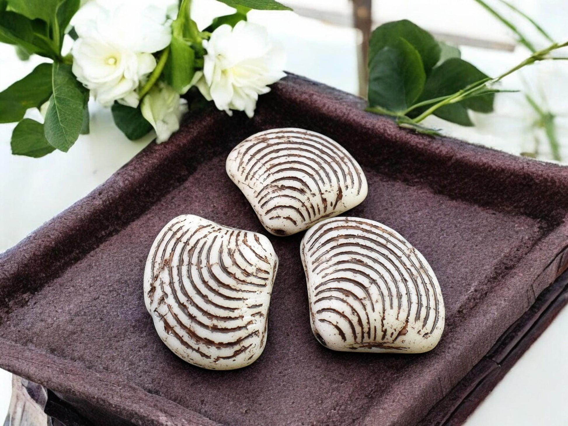 *8* 15x18mm Brown Washed Matte Alabaster Sea Shell Beads