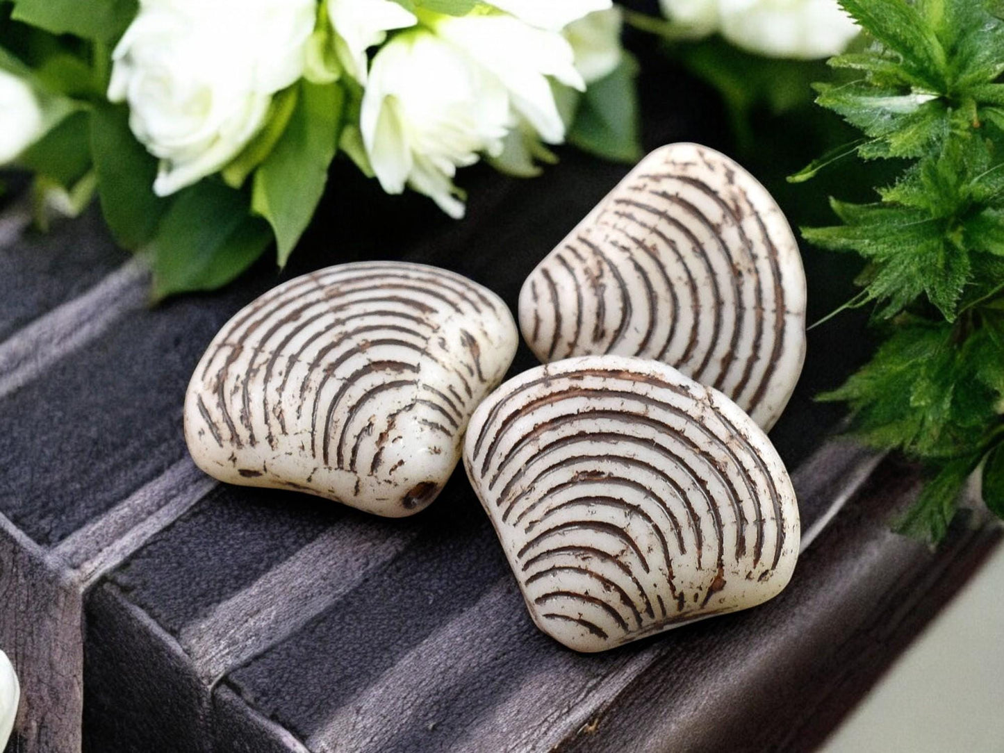 *8* 15x18mm Brown Washed Matte Alabaster Sea Shell Beads