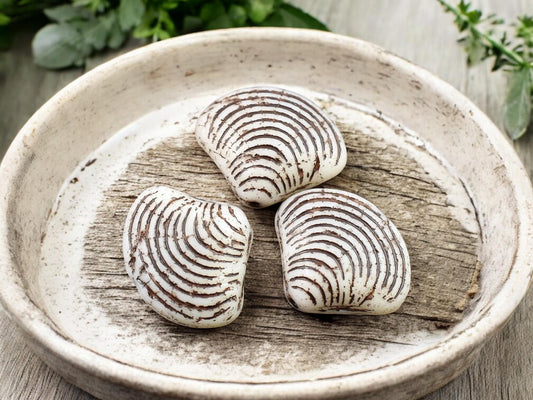 *8* 15x18mm Brown Washed Matte Alabaster Sea Shell Beads