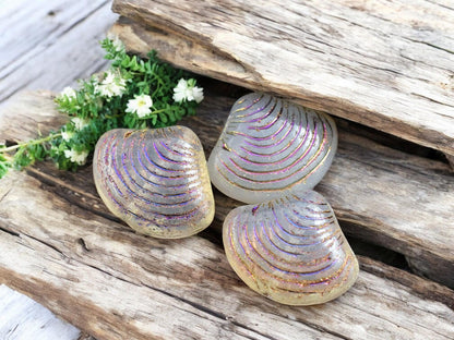 *8* 15x18mm Milky Crystal Sliperit Sea Shell Beads