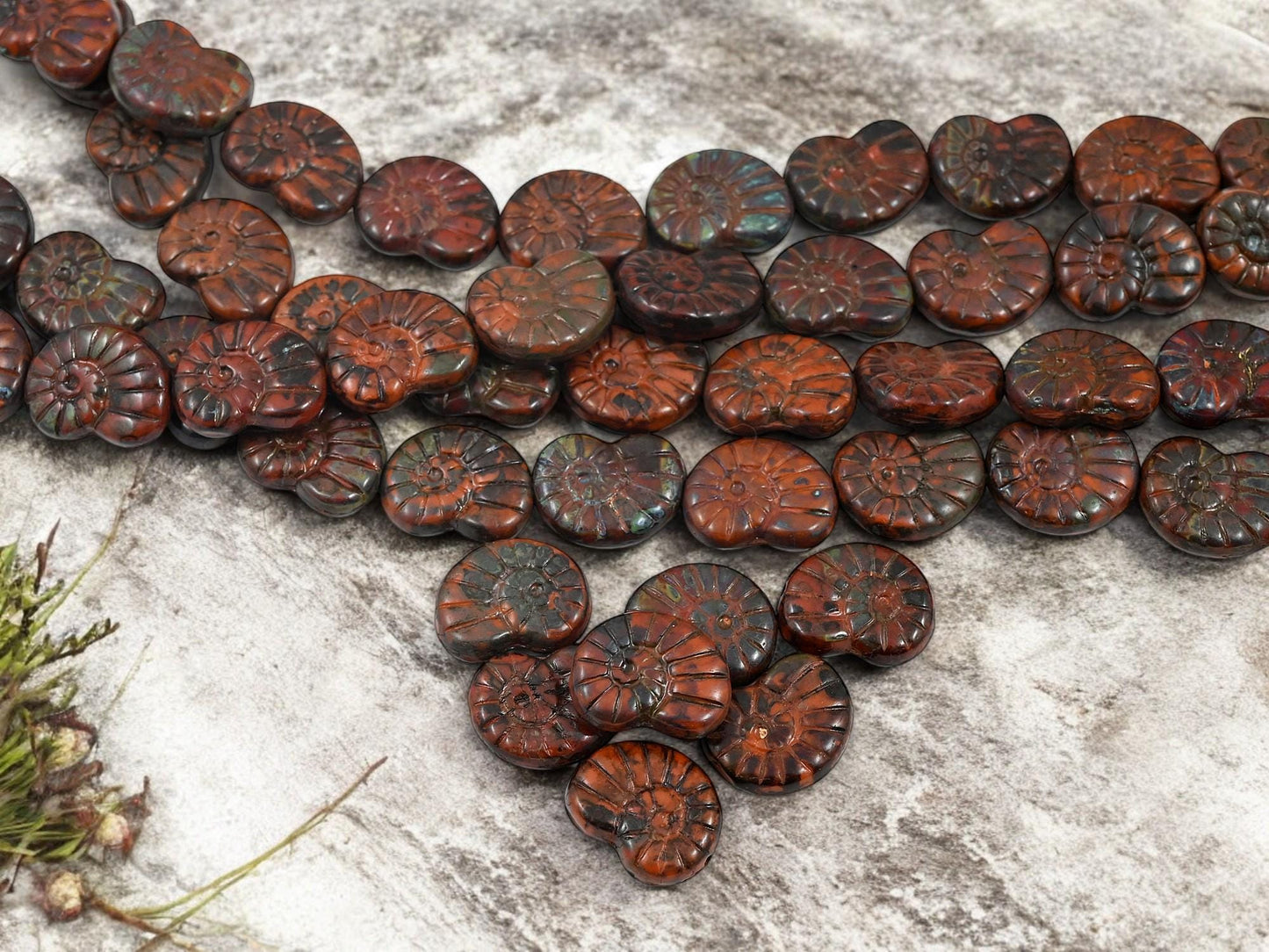 *6* 16x13mm Burnt Sienna Ammonite Fossil Snail Shell Beads