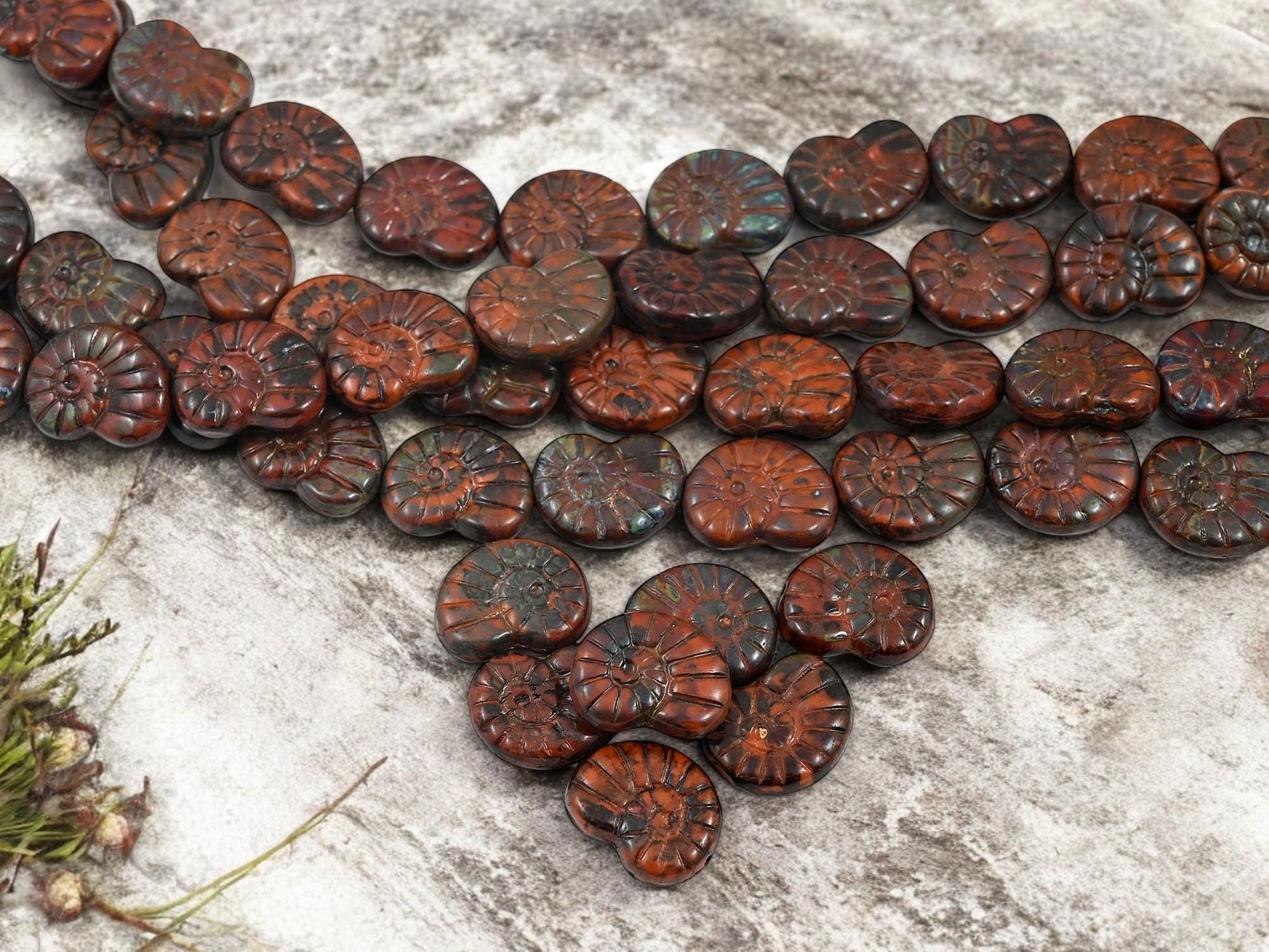 *6* 16x13mm Burnt Sienna Ammonite Fossil Snail Shell Beads