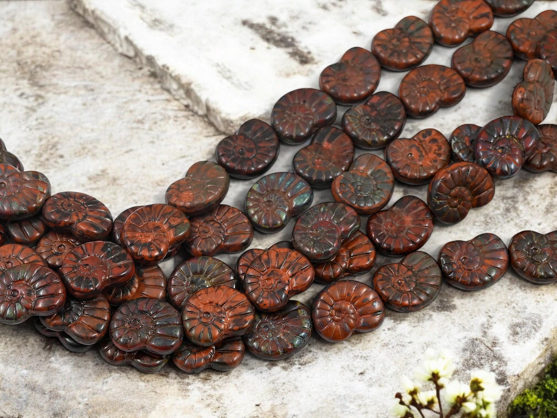 *6* 16x13mm Burnt Sienna Ammonite Fossil Snail Shell Beads