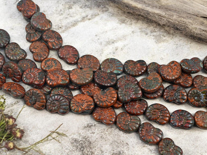 *6* 16x13mm Burnt Sienna Ammonite Fossil Snail Shell Beads