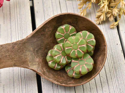 *8* 12mm Copper Washed Green Apple Opal Travertine Cosmo Flower Beads