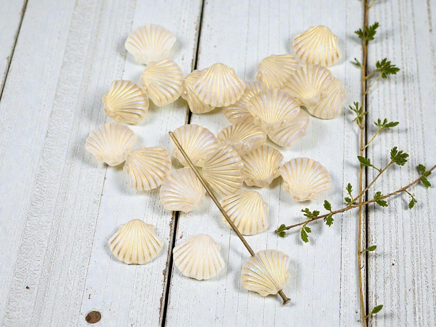 Gilded Crystal AB Acrylic Seashell Beads - Lightweight - 11x12x4mm - 15pcs - (936)