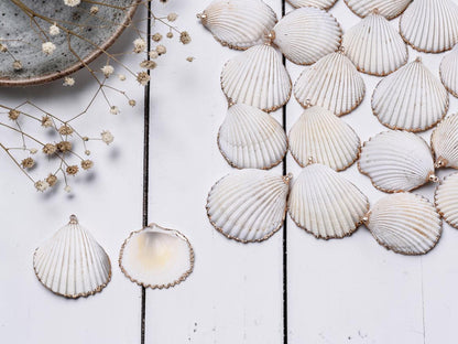 Gold Electroplated Seashell Charm Pendants - 5pcs - (2511)
