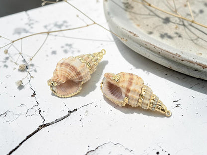 Gold Plated Brass Natural Seashell Charm Pendants - 2pc - (4583)