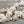 18x14x8mm Bone Beige Synthetic Turquoise Turtle Beads - 15
