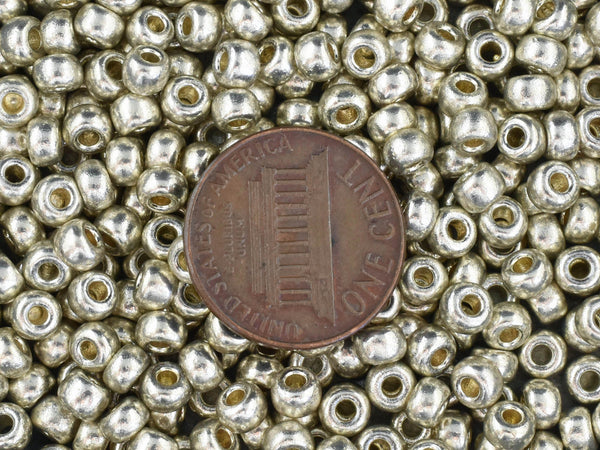 20G Galvanized Silver Duracoat Miyuki 6/0 Seed Beads - 6-4201
