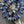 *15* 9x7mm Cobalt Picasso Saturn Beads