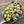 10g Matte Lemon Nebula 2/0 Matubo Beads