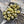 Load image into Gallery viewer, 10g Lemon Nebula 2/0 Matubo Beads
