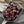 20g Dark Red Travertine 2/0 Matubo Beads