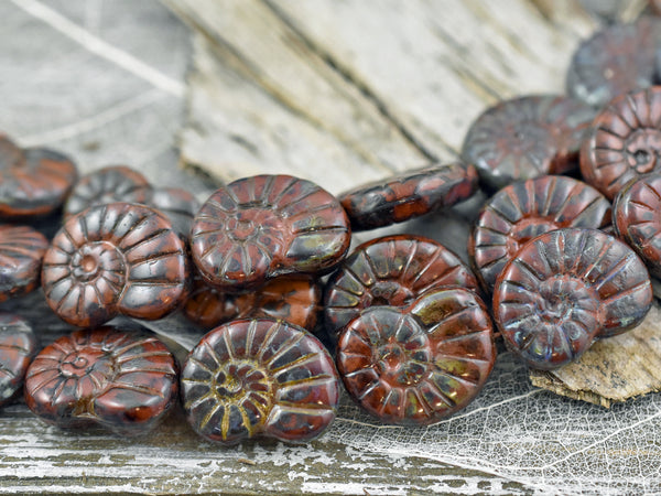 *6* 16x13mm Burnt Sienna Ammonite Snail Shell Beads