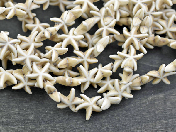 15mm Bone Beige Synthetic Turquoise Starfish Beads 15" Strand