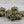 Load image into Gallery viewer, *50* 7mm Antique Bronze Hawaiian Flower Beads
