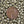Size 6 Seed Beads - Miyuki 6-4221F - Size 6 Beads - Size 6/0 - Galvanized Matte Lt Pewter Duracoat - 15 grams (3571)