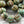Picasso Beads -  Melon Beads - Czech Glass Beads - Round Beads - Bohemian Beads - 10mm Beads - 10pcs - (B652)