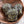 Picasso Beads - Czech Glass Beads - Buddha Beads - Buddha Head Bead  - Mala Beads - 15x14mm - 4pcs (5011)