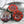 Czech Glass Buttons - 2 Hole Buttons - Czech Glass Beads - Wrap Bracelet Button - Picasso Beads - 14mm Button - 4pcs - (A142)