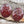 Load image into Gallery viewer, Czech Glass Beads - Bumble Bee Bead - Focal Beads - Honey Bee Beads - Burgandy Nebula - 22x18mm - 2pcs - (621)

