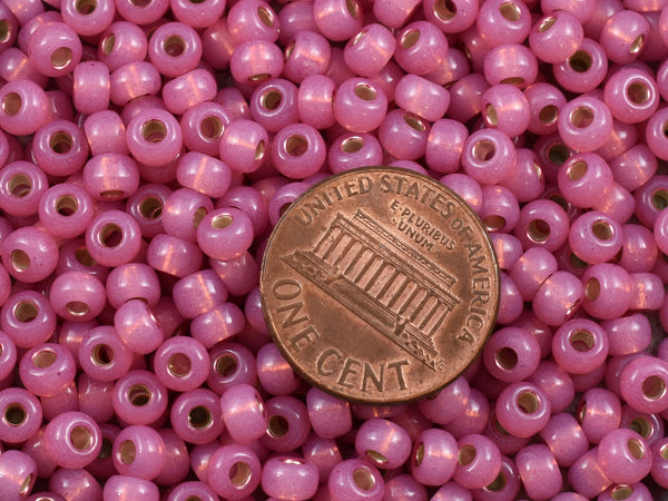 Miyuki Seed Beads - Size 6 Seed Beads - Miyuki 6-645 - Size 6 Beads - Size 6/0 - Pink Seed Beads - 5" Tube - 20 grams (1587)