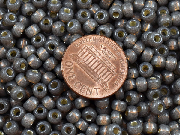 Miyuki Seed Beads - Size 6 Seed Beads - Miyuki 6-650 - Size 6 Beads - Size 6/0 - Gray Seed Beads - 15 grams (1551)