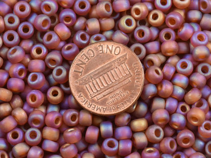 Miyuki Seed Beads - Size 6 Seed Beads - Miyuki 6-134FR - Size 6 Beads - Size 6/0 - Matte Seed Beads - 15 grams (1543)
