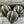 Czech Glass Beads - Melon Beads - Picasso Beads - Large Czech Beads - Round Beads - Big Beads - 14mm - 4pcs - (A609)