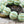 Czech Glass Beads - Melon Beads - Picasso Beads - Large Czech Beads - Round Beads - Purple Beads - 14mm - 4pcs - (A611)