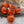 Load image into Gallery viewer, Czech Glass Beads - Cathedral Beads - Fire Polish Beads - Tangerine Apollo - 8 or 10mm
