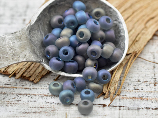 Czech Glass Beads - Seed Beads - Size 2 Beads - 2/0 Beads - Large Hole Beads - 6x4mm - 15 grams (5827)