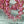 Czech Glass Beads - Rondelle Beads - Saucer Beads - Pink Beads - Fire Polished Beads - 10pcs - 6x9mm - (1178)