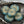 Czech Glass Beads - Picasso Beads - Flower Beads - Matte Beads - Aster Flower - 12mm - 6pcs (A643)