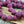 Czech Glass Beads - Bicone Beads - Etched Beads - Purple Beads - 11mm - 10pcs (2823)