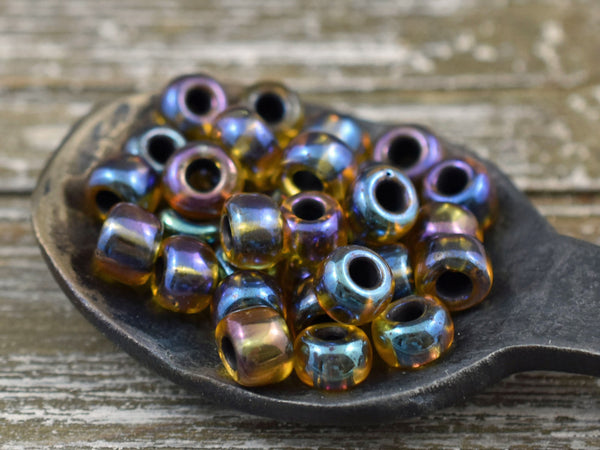 Seed Beads - Size 2 Beads - Czech Glass Beads - 2/0 Beads - Large Hole Beads - 6x4mm - 15 grams (B220)