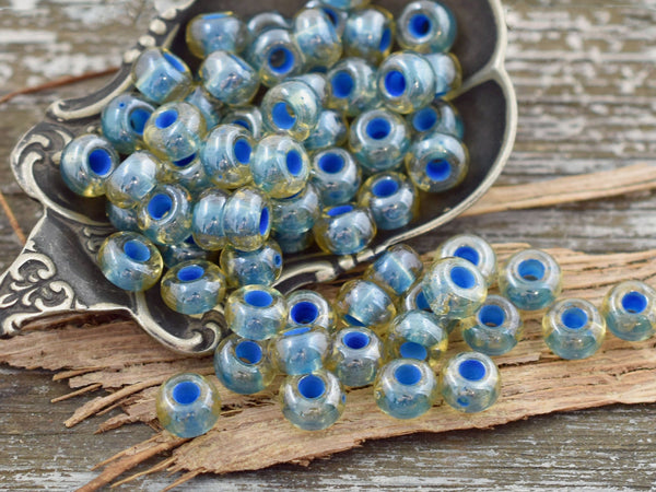Seed Beads - Size 2 Beads - Czech Glass Beads - 2/0 Beads - 6x4mm - 15 grams (A653)