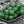 Czech Glass Beads - 2mm Hole Beads - Large Hole Melon Beads - 6mm Beads - Melon Beads - Round Beads - 25pcs - (5141)