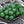 Czech Glass Beads - 2mm Hole Beads - Large Hole Melon Beads - 6mm Beads - Melon Beads - Round Beads - 25pcs - (5141)