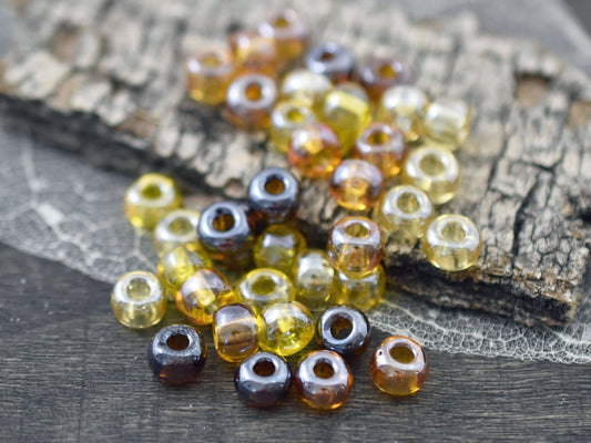Seed Beads - Size 2 Beads - Czech Glass Beads - 2/0 Beads - 6x4mm - 15 grams (1243)