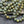 Picasso Beads - Etched Beads - Czech Glass Beads - 8mm Beads - Druk Beads - Round Beads - 15pcs - (B175)