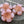 Load image into Gallery viewer, Hibiscus Beads - Picasso Beads - Czech Glass Beads - Flower Beads - Hawaiian Flower Beads - Czech Flowers - 21mm - (338)
