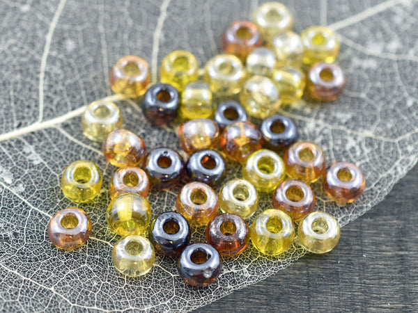 Seed Beads - Size 2 Beads - Czech Glass Beads - 2/0 Beads - 6x4mm - 15 grams (1243)