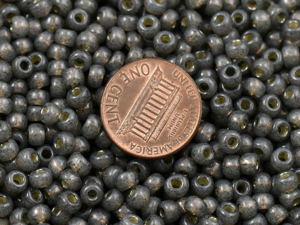 Miyuki Seed Beads - Size 6 Seed Beads - Miyuki 6-4251 - Size 6 Beads - Size 6/0 - Gray Seed Beads - 20 grams (B454)