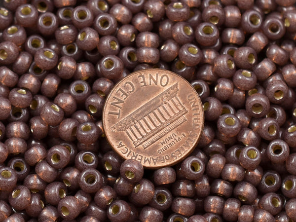 Miyuki Seed Beads - Size 6 Seed Beads - Miyuki 6-4249 - Size 6 Beads - Size 6/0 - Pink Seed Beads - 20 grams (B141)