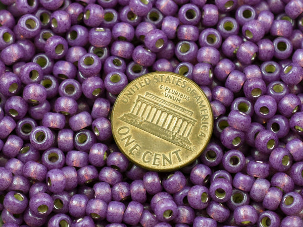 Seed Beads - Size 6 Seed Beads - Miyuki 6-4248 - Size 6 Beads - Size 6/0 - Purple Seed Beads - 5" Tube - 20 grams (4416)