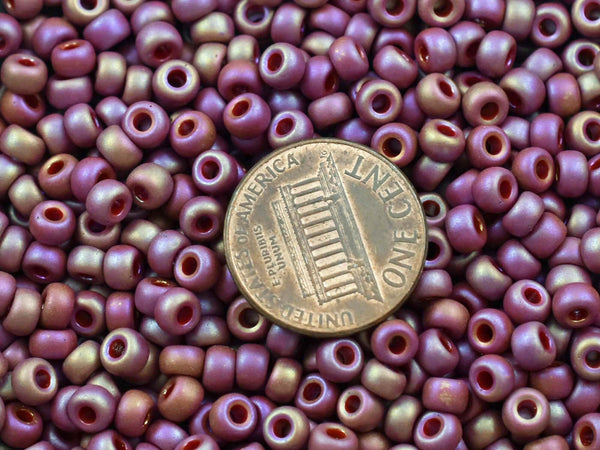 Size 6 Seed Beads - Miyuki 6-4696 - Size 6 Beads - Size 6/0 - Seed Beads - 5" Tube - 20 grams (3264)